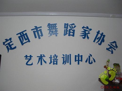 甘肃省定西市舞蹈家协会艺术中心舞蹈地胶