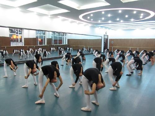 艺萱舞蹈培训学校舞蹈室地板案例