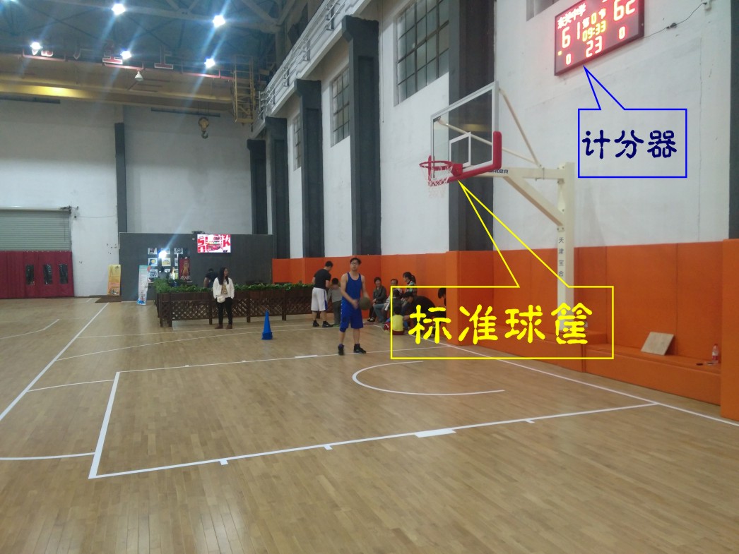 运动木地板,体育木地板