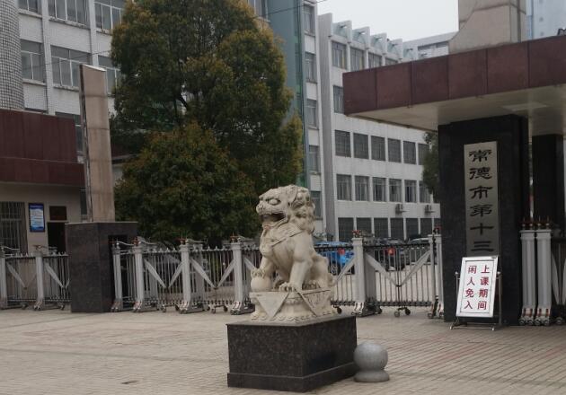 运动木地板