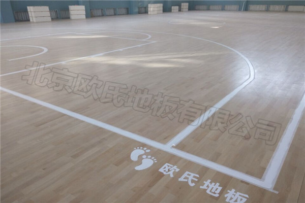 运动木地板--内蒙包头市第六中学成功案例