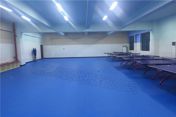 乒乓球地胶--深圳市龙华区中心小学乒乓球室成功案例